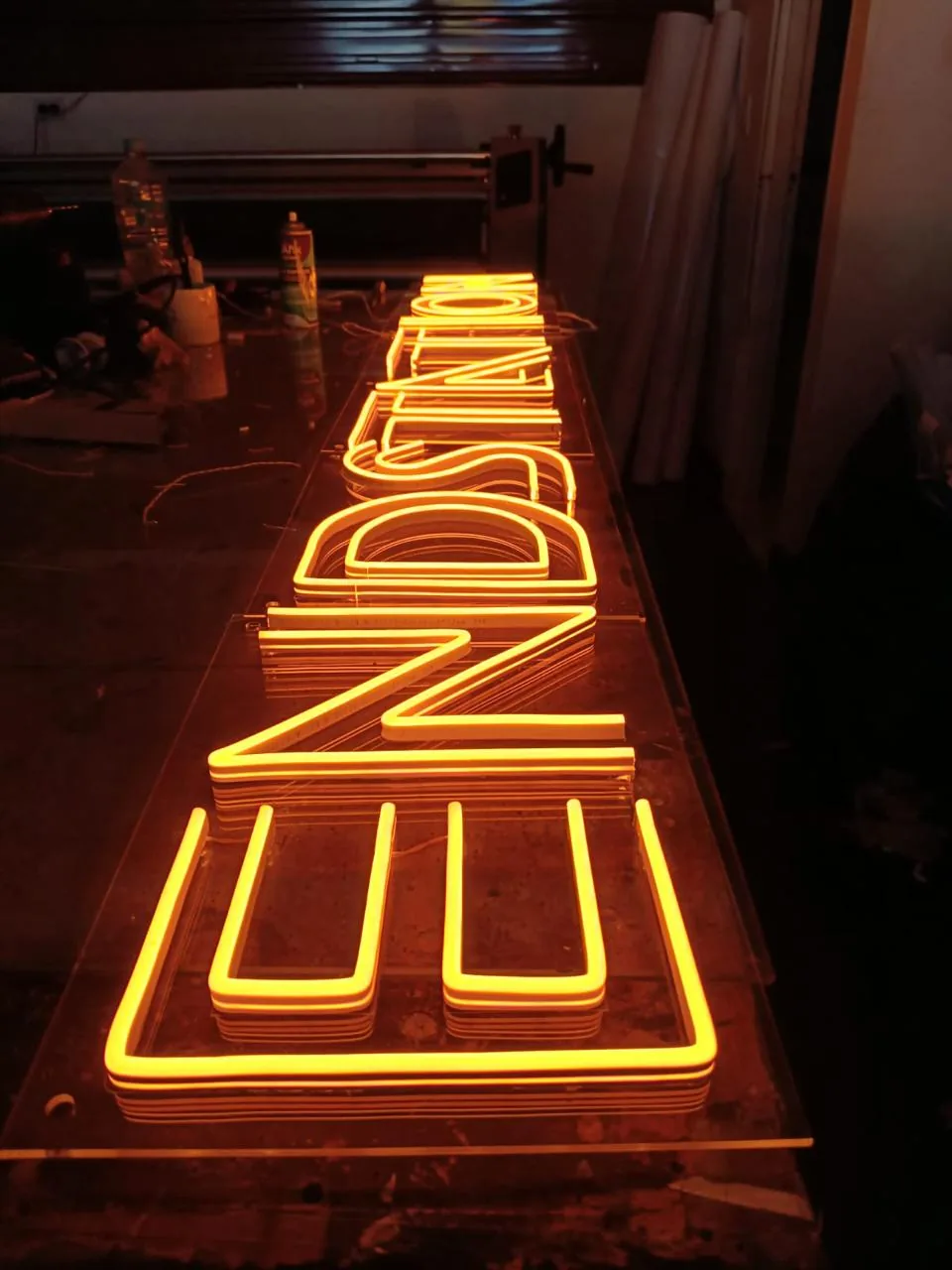 Neon Flex Decorativo 09